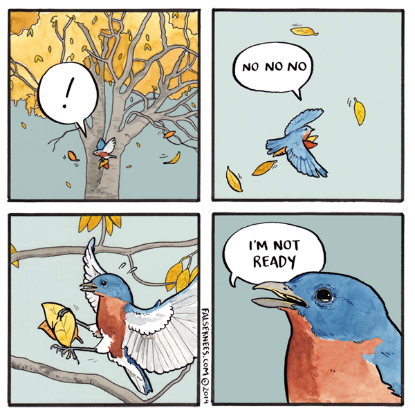 False Knees (@falseknees) on Twitter photo 