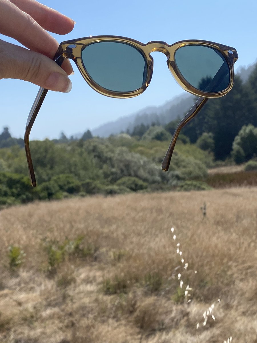 sunglass_museum's tweet photo. Warm Toned Sunglass for Fall - Shop Now - https://t.co/mq4vUIoWs4 https://t.co/giAthpUf8J