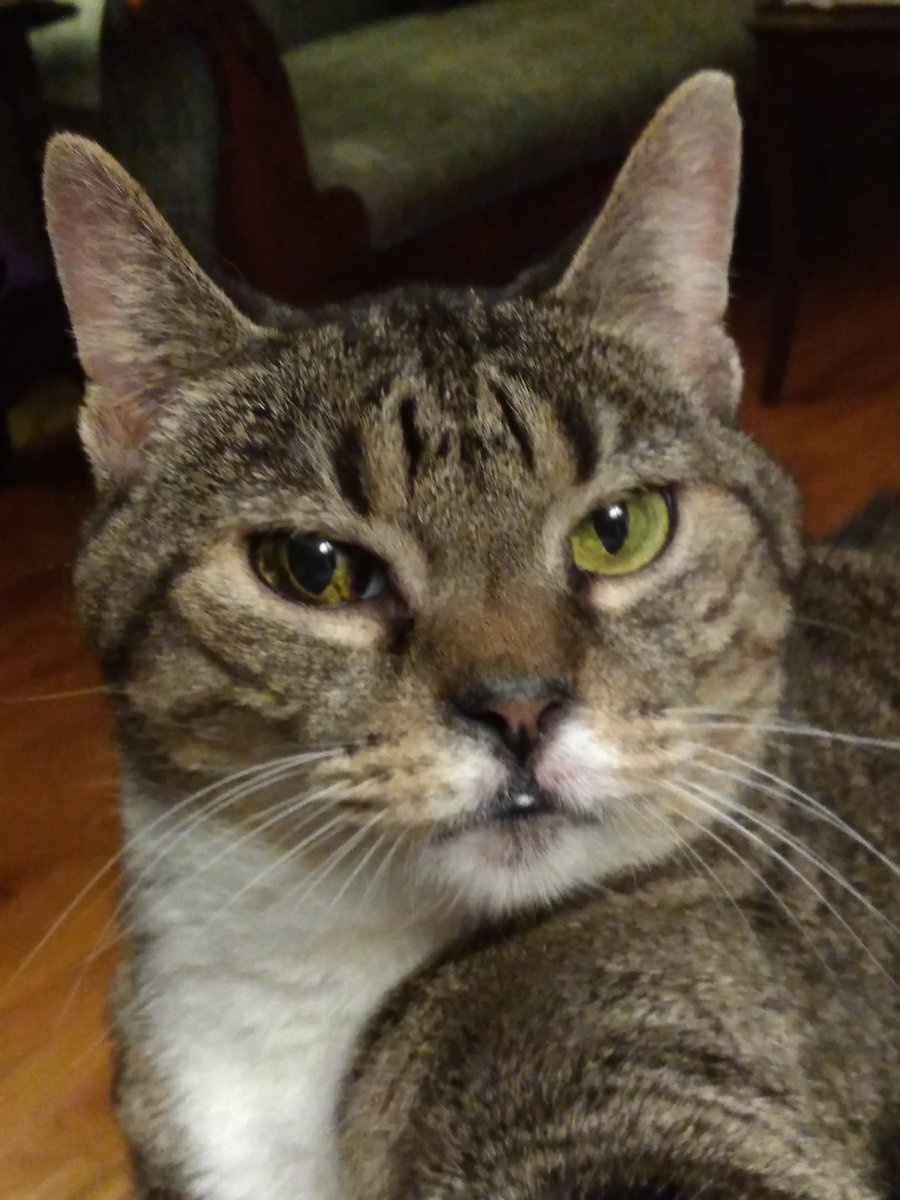 StockellnotStockwell tweet media