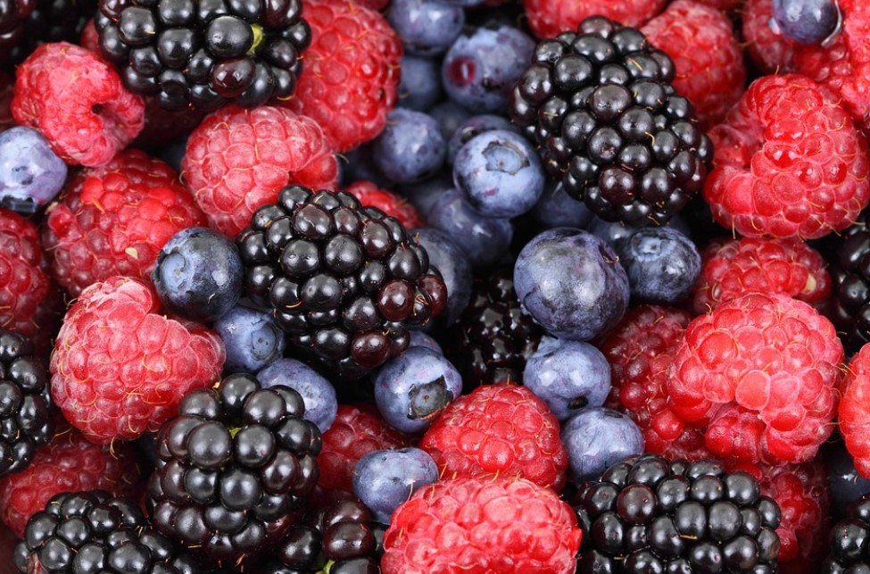 scienceinpublic's tweet photo. Eating berries could be a cheap, safe and delicious way to manage your blood sugar, thanks to a chemical they make our gut produce, according to @mjhoughton89. 
Read our latest #FreshSci story: https://t.co/KZoh8voJP6
@MonashUni @UniversityLeeds @ProfGWilliamson https://t.co/hpaisIRfrI
