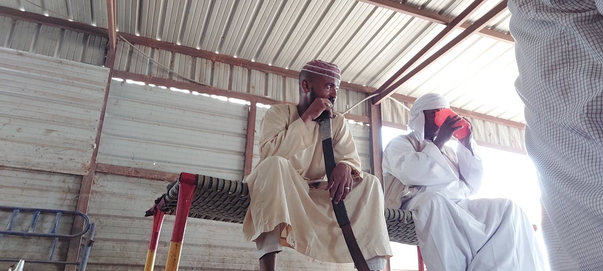 شايل سيفو قانص ليها