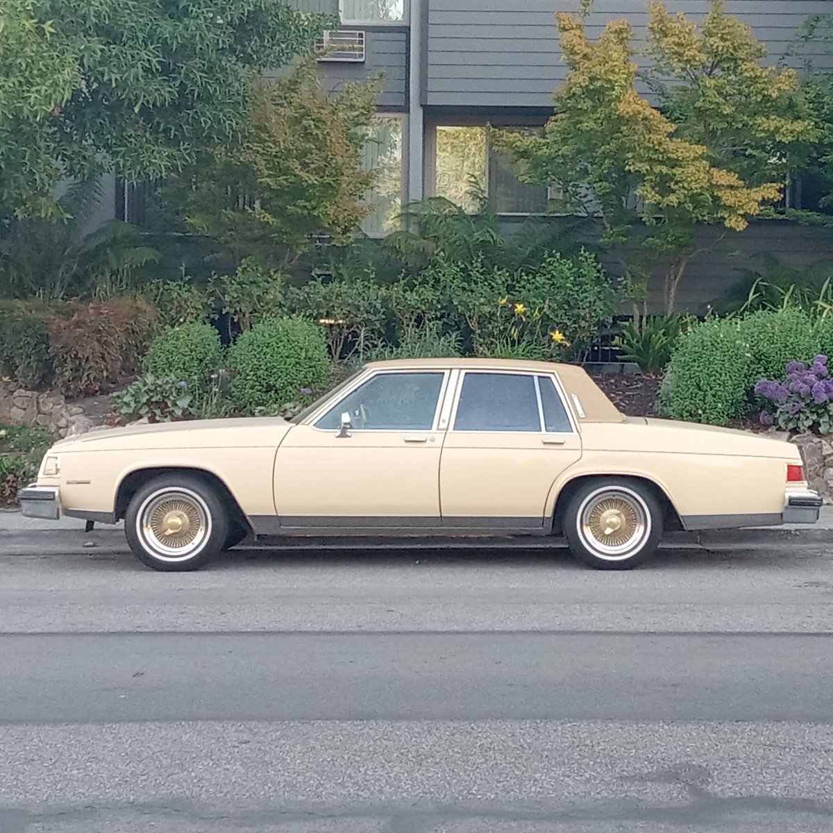 Moonsatellite tweet media