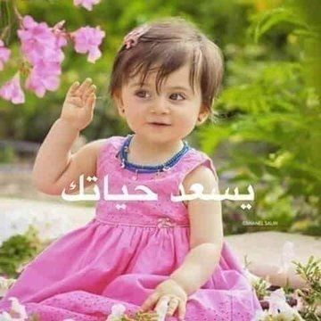 ابو فواز المطيري tweet media