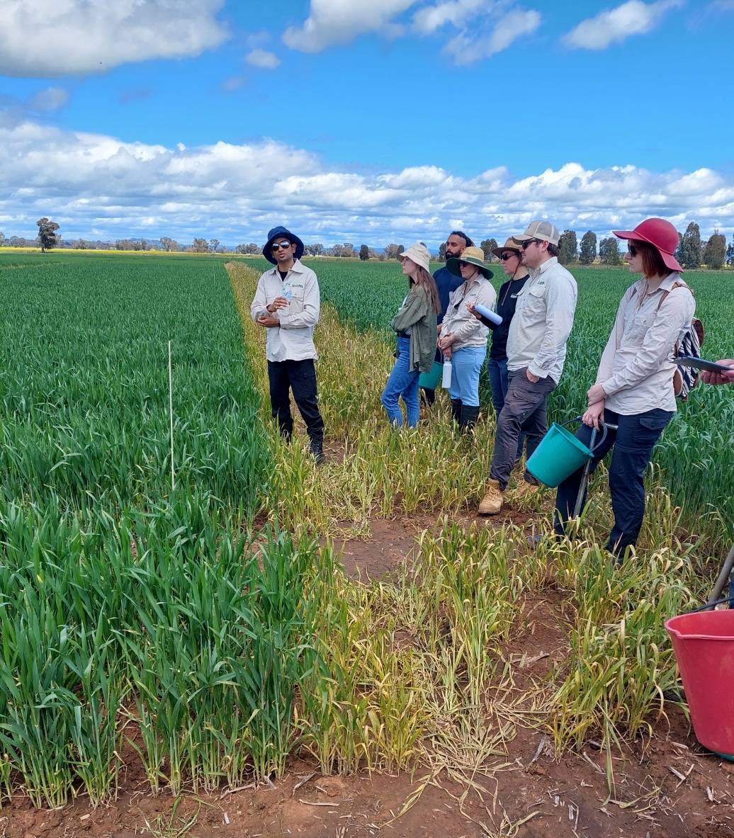 A beautiful sunny day for our Inaugural Small 
Plot Trial Field Day near Canowindra! 

Great to have team members from around the country come together to see the work done by the product development team.