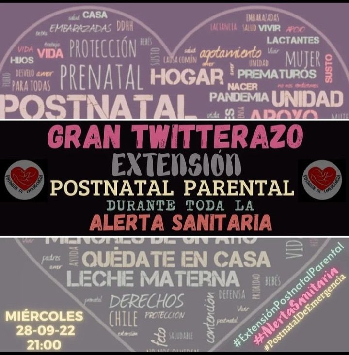 gaabaaleiva's tweet photo. Se necesita con urgencia la aprobación del #PostnatalDeEmergencia hasta la misma fecha que la alerta sanitaria, los bebés deben estar resguardados #posnataldeemergencia @gabrielboric https://t.co/bliWdEB7sI