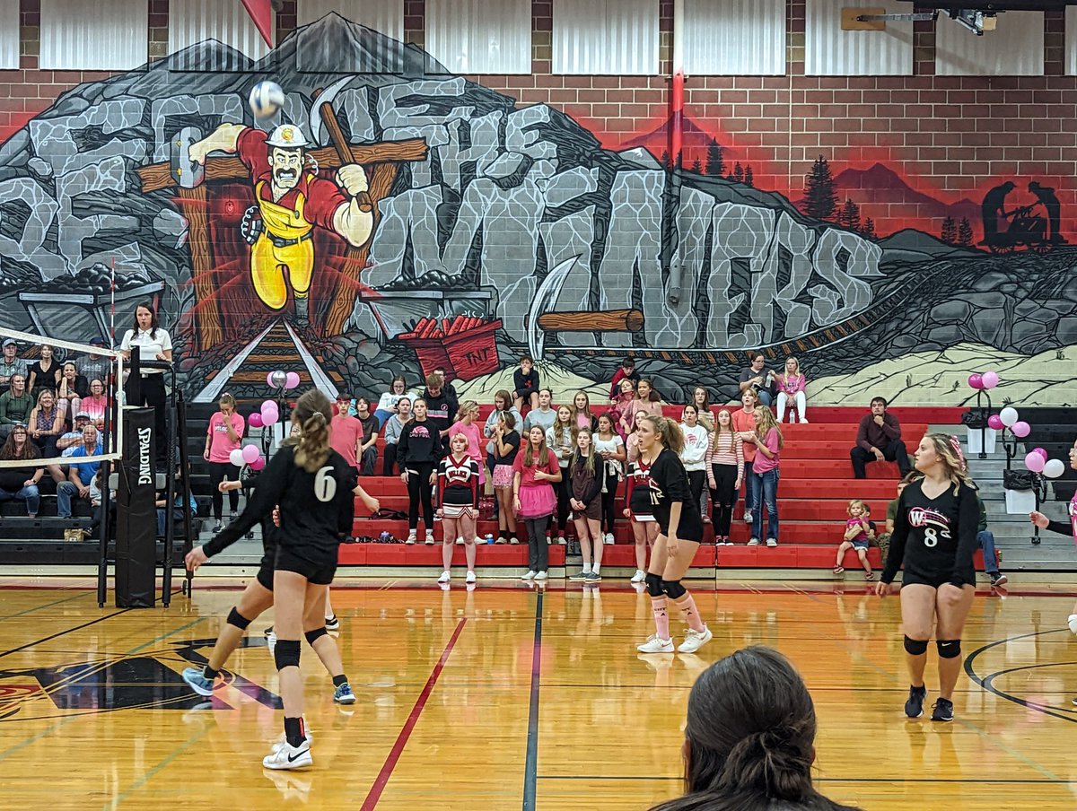WallaceJrSrHigh's tweet photo. Great atmosphere here in Wallace tonight for Dig Pink! https://t.co/AqvdiDravA