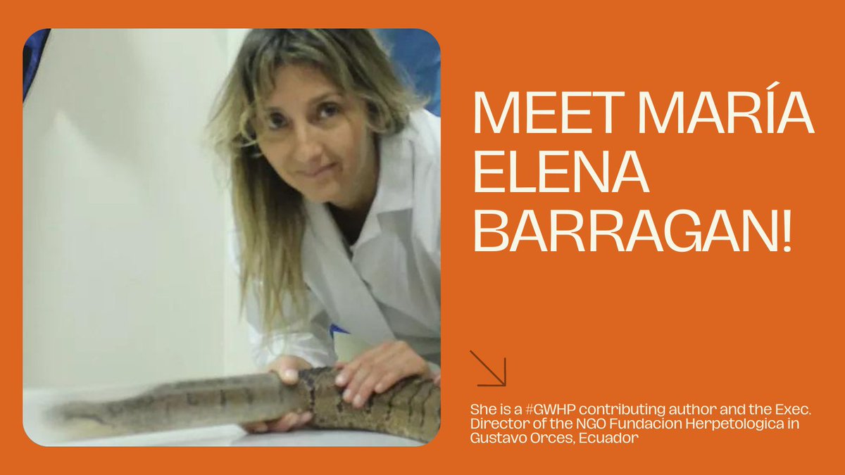 GlobalWomenHerp's tweet photo. Meet our first featured #GWHbook contributing author: María Elena Barragan! Her work & involvement with indigenous communities in #Ecuador is creating better capacity for emergency response to snake-bite accidents, and is breaking down negative attitudes and fear about #snakes https://t.co/Ih93POcEHQ