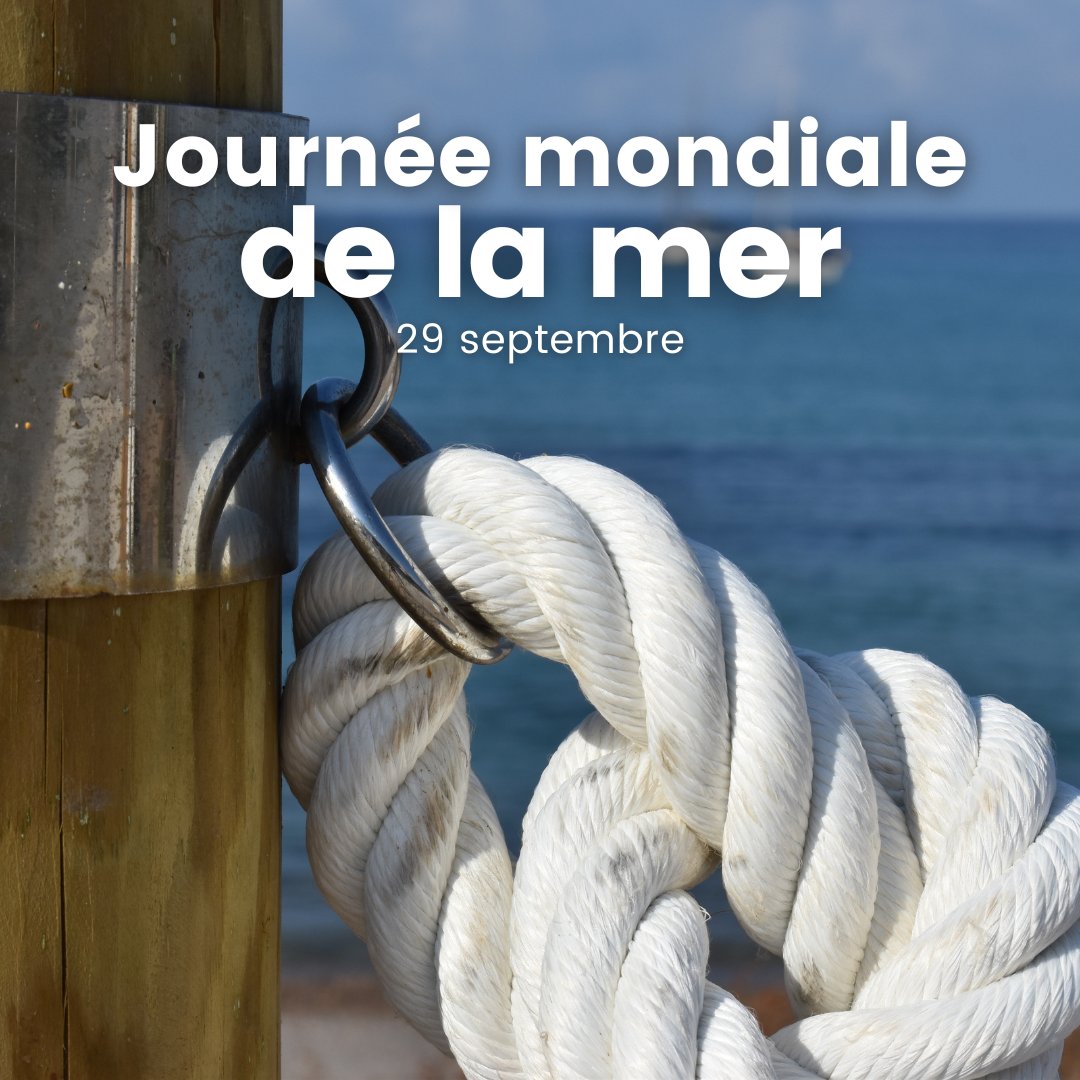 ONU_fr's tweet photo. Les transports maritimes assurent la circulation des biens vitaux à travers le monde, tels que la nourriture, les médicaments et plus. 🚢⚓📦

Ce jeudi 29 septembre, l'@IMOHQ &amp; la communauté maritime internationale célèbrent la Journée mondiale de la mer! https://t.co/mRlEn98YvR https://t.co/2X1UXNmr51