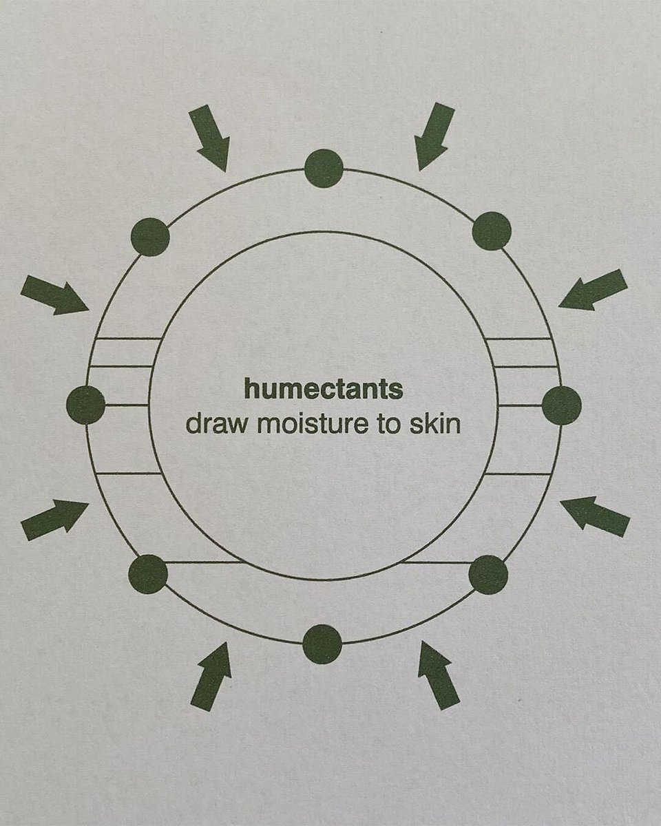 SkincareRhode's tweet photo. humectants + emollients 101. ☁️✨ - rhode via Instagram https://t.co/8uBRIZuRlz