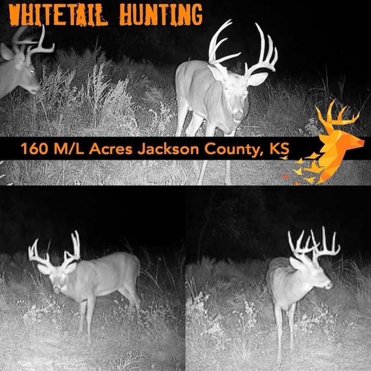 BEOUTDOORScom's tweet photo. Whitetail Hunting! 160 m/l Acres Jackson County, KS - Deer Hunting Rolling Pasture Land with Cattle Opportunities! Give us a call today for a showing 1800599LAND
https://t.co/ETV8Jb733T
#newlisting #landforsale #farm #hunting #buildsite #deerhunting #bigbucks https://t.co/KdYGjyO2cU