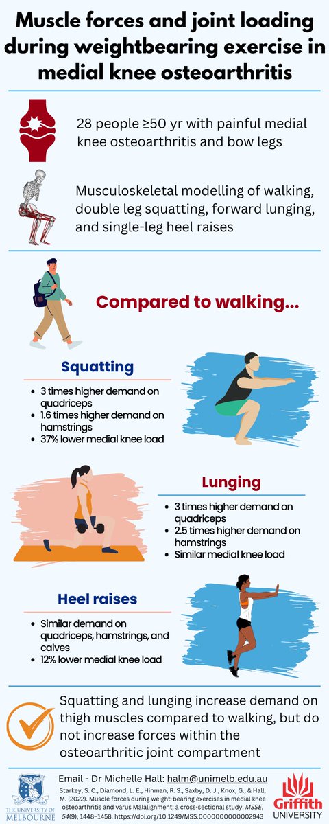 More research from @ScottSt45975327 and collaborators <a href="/HinmanRana/">Prof Rana Hinman</a>,<a href="/halm_michelle/">Michelle Hall</a> , <a href="/LauraDiamond05/">Laura Diamond</a>, <a href="/DavidJohnSaxby1/">David John Saxby</a> and Gabby Knox

"Muscle forces and joint loading during weightbearing exercise in medial knee osteoarthritis"

Infographic below 👇