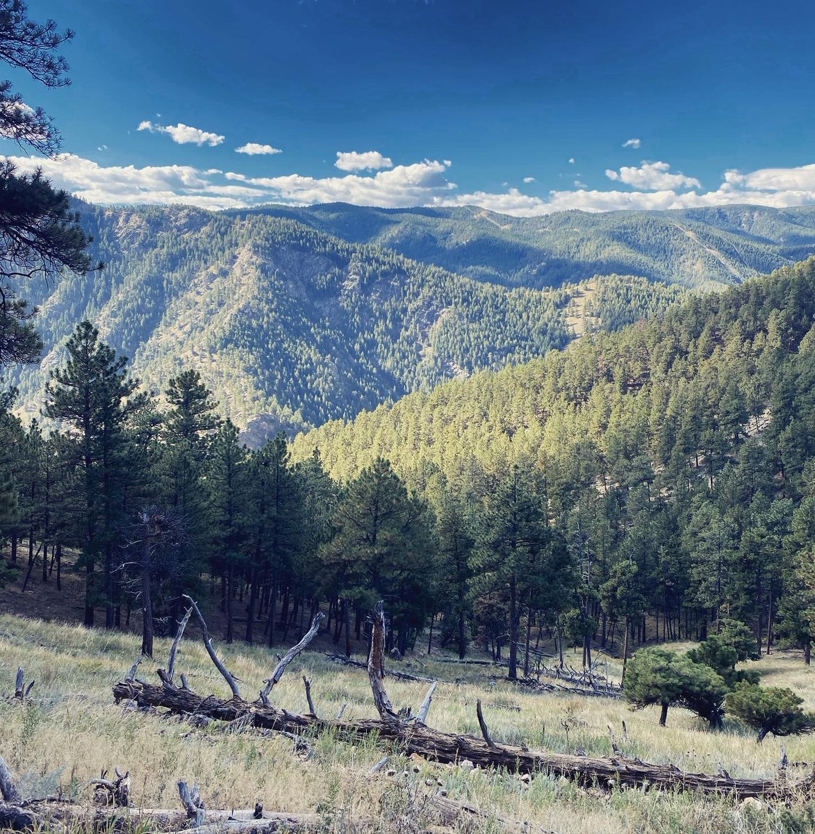 Jenn Dowd tweet media