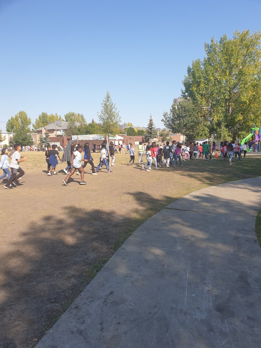 St. Teresa of Calcutta Catholic School tweet media