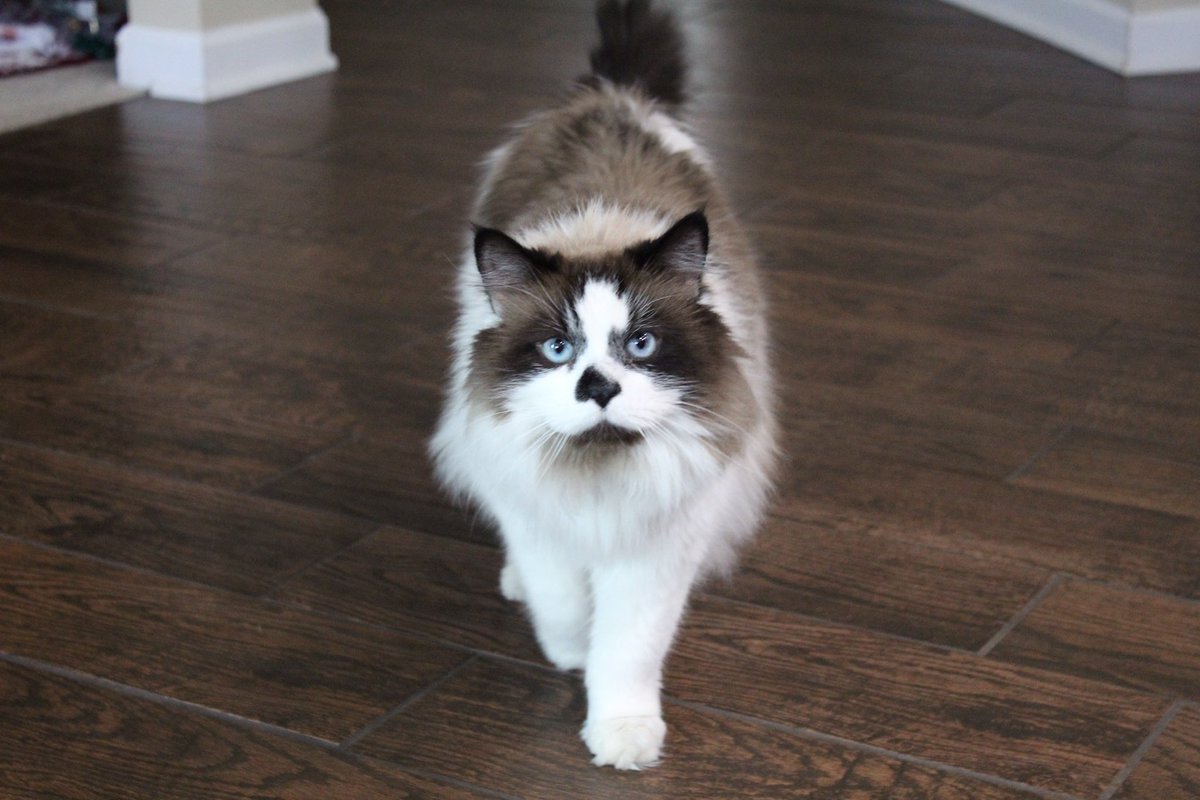 Heather Lozano tweet media