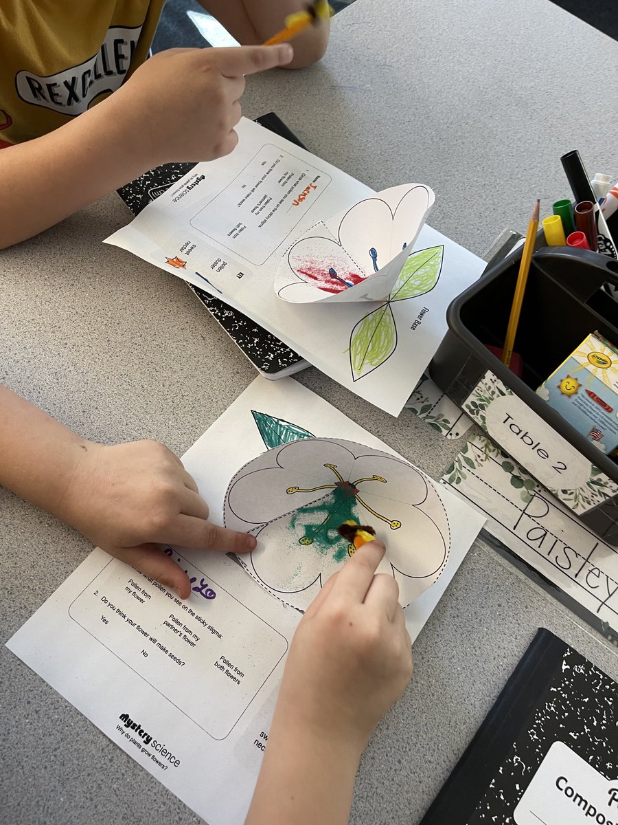 Then some exploration on how pollination works 💡🐝