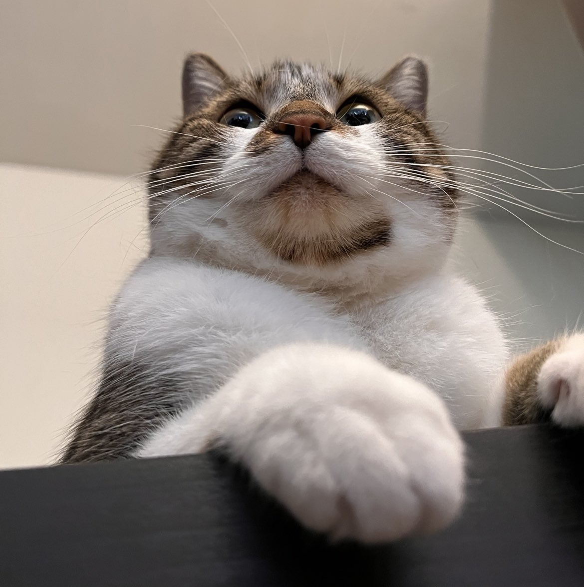 Gabriela 🧚🏻‍♀️ tweet media