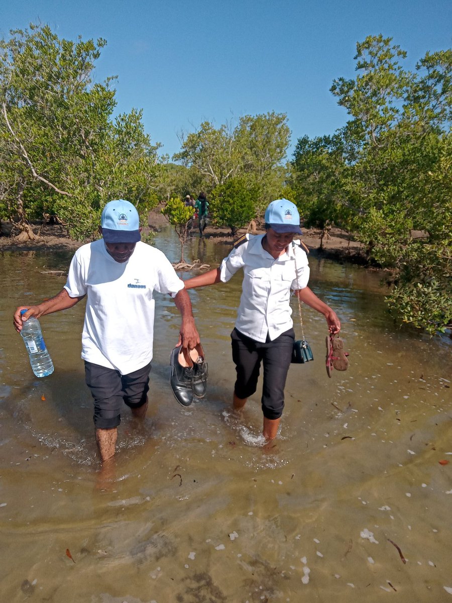 At #somanga mangrove forest and swamps in #kilwa District. Human activities vs climate change aggravation in #Tanzania <a href="/RMC_Rwanda/">RMC</a> <a href="/MeshaScience/">MESHA Science</a> <a href="/Cop26P/">COP Climate Action Plan</a>