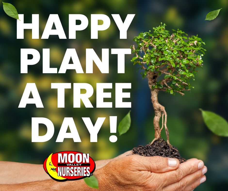 Moon Valley Nurseries tweet media