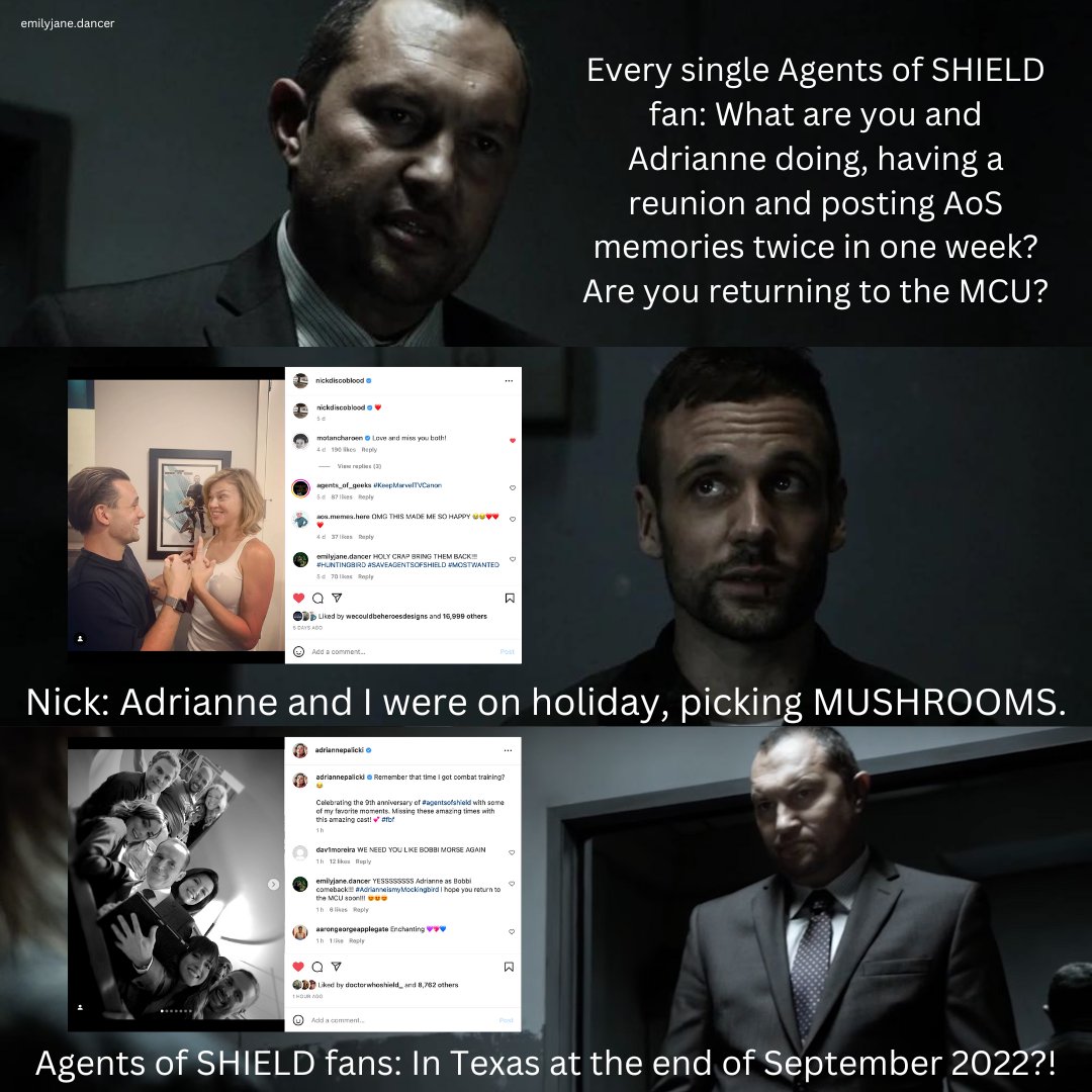 EmilyJaneDancer's tweet photo. #AgentsofSHIELD fans freaking out in the best way possible about the #Huntingbird reunion and the memory lane trip from Nick and @AdriannePalicki
Are we getting Most Wanted after all this time? 😍 #Hawkeye Season 2? Thunderbolts? 😍 #AdrianneismyMockingbird #SaveAgentsofSHIELD https://t.co/6z1oonWtIF