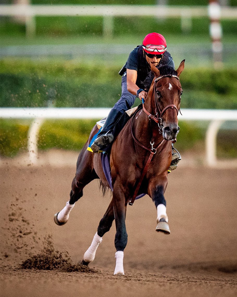 FlightlineFast's tweet image. Working #flightline @keeneland @keenelandracing @BreedersCup