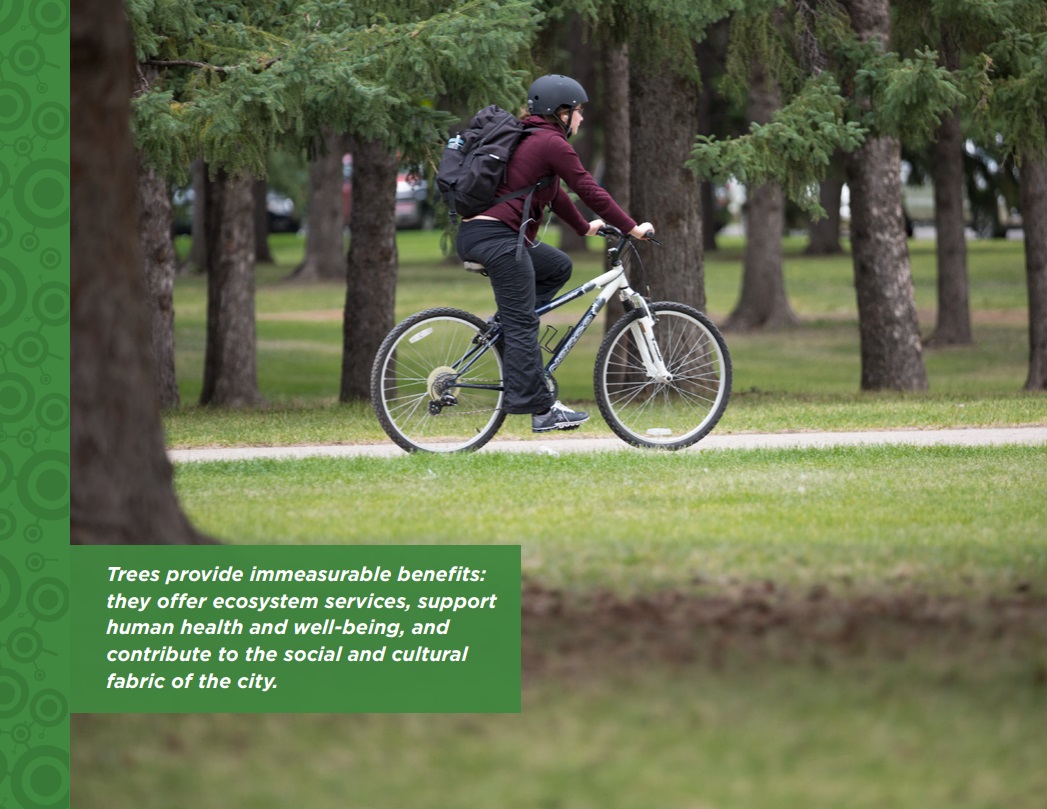 BridgeCityBuzz's tweet photo. SPC-EUCS  – Public Agenda
October 3, 2022 at 9:30 am

Pathway to a Sustainable Urban Forest: Implementation of the Urban Forest Management Plan 2022-2031

https://t.co/ELHYExhCgG

#yxe #yxecc #spc_environmentutilitiesandcorporateservices https://t.co/YXYKJZCRk6
