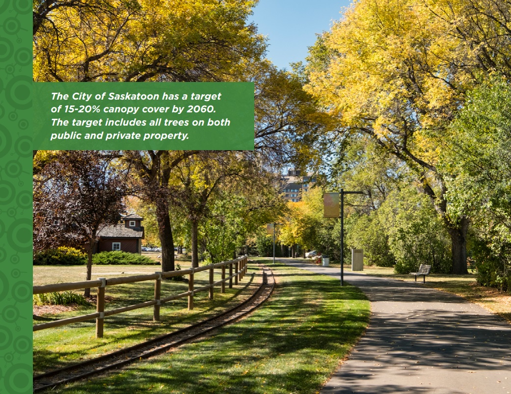 BridgeCityBuzz's tweet photo. SPC-EUCS  – Public Agenda
October 3, 2022 at 9:30 am

Pathway to a Sustainable Urban Forest: Implementation of the Urban Forest Management Plan 2022-2031

https://t.co/ELHYExhCgG

#yxe #yxecc #spc_environmentutilitiesandcorporateservices https://t.co/YXYKJZCRk6