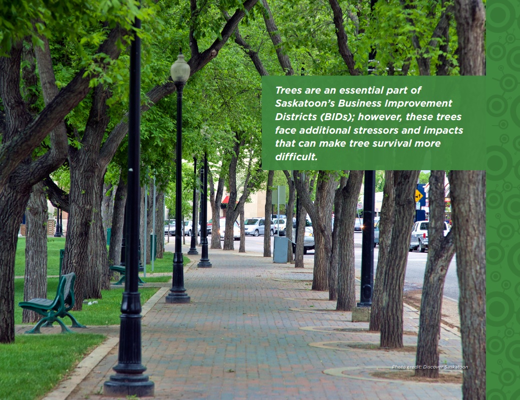 BridgeCityBuzz's tweet photo. SPC-EUCS  – Public Agenda
October 3, 2022 at 9:30 am

Pathway to a Sustainable Urban Forest: Implementation of the Urban Forest Management Plan 2022-2031

https://t.co/ELHYExhCgG

#yxe #yxecc #spc_environmentutilitiesandcorporateservices https://t.co/YXYKJZCRk6