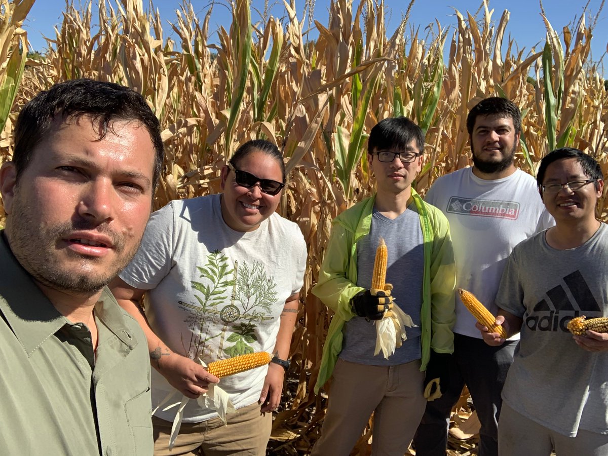 Jinliang Yang (@jinliangyang) on Twitter photo We would have accomplished nothing without our talented <a href="/unlagrohort/">Nebraska Agronomy and Horticulture</a> students. n=2,000 plots manually harvested in two days! Great teamwork <a href="/MusaUlutas10/">Musa Ulutas</a> @AgronomistYd <a href="/GenXu1/">Gen Xu</a> <a href="/zhikai16/">zhikai</a> Kahheetah! And Eric and Jenifer (not in the photo)! We would have accomplished nothing without our talented <a href="/unlagrohort/">Nebraska Agronomy and Horticulture</a> students. n=2,000 plots manually harvested in two days! Great teamwork <a href="/MusaUlutas10/">Musa Ulutas</a> @AgronomistYd <a href="/GenXu1/">Gen Xu</a> <a href="/zhikai16/">zhikai</a> Kahheetah! And Eric and Jenifer (not in the photo)!