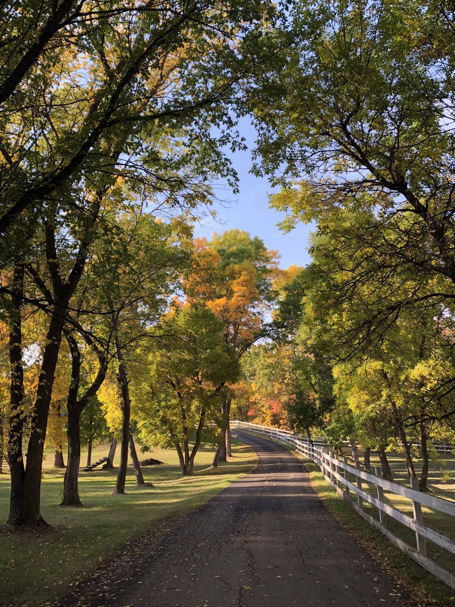 SweetReunion22's tweet photo. Walked to our pharmacy to get our 2nd booster..& then walked to our local watering hole to have a celebratory drink, in the most gorgeous weather. Life is good..if you choose to see it that way.🍁🍂🍺🥂💉🇨🇦 #swpk #Alberta https://t.co/jpyCkedq8b