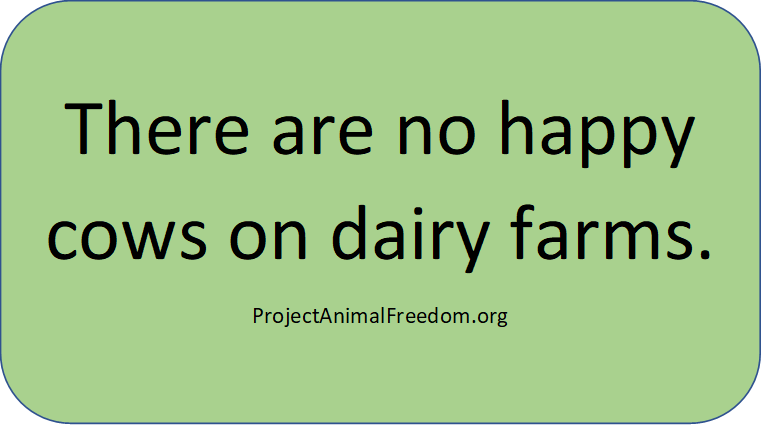 PAFforAnimals's tweet photo. #VeganForTheAnimals #vegan https://t.co/vfviLfpGKg