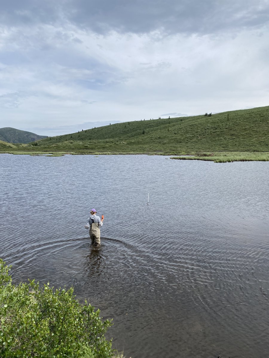 Sean Carey (@mac_watershed) on Twitter photo Another day, another amazing defence. Congrats to Lauren <a href="/bourkeinsocks/">Lauren Bourke</a> on her MSc examining wetland and pond hydrology in <a href="/WolfCreekYT/">Wolf Creek Research Basin</a>. Amazing we've neglected wet places for as long as we have! <a href="/GWFutures/">Global Water Futures</a> <a href="/MWFutures/">MountainWaterFutures</a> Another day, another amazing defence. Congrats to Lauren <a href="/bourkeinsocks/">Lauren Bourke</a> on her MSc examining wetland and pond hydrology in <a href="/WolfCreekYT/">Wolf Creek Research Basin</a>. Amazing we've neglected wet places for as long as we have! <a href="/GWFutures/">Global Water Futures</a> <a href="/MWFutures/">MountainWaterFutures</a>