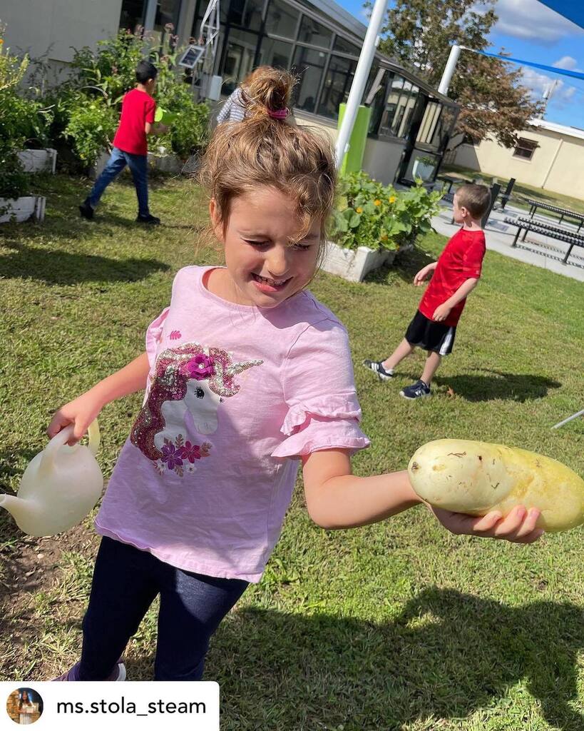 steamedgeelem tweet media