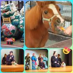 ツイートに含まれる画像