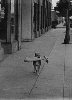 AgathaChocolats's tweet photo. In six words or fewer, write a story about this photo.
#sixwordstory #WritingCommunity https://t.co/18XEbBxvOB