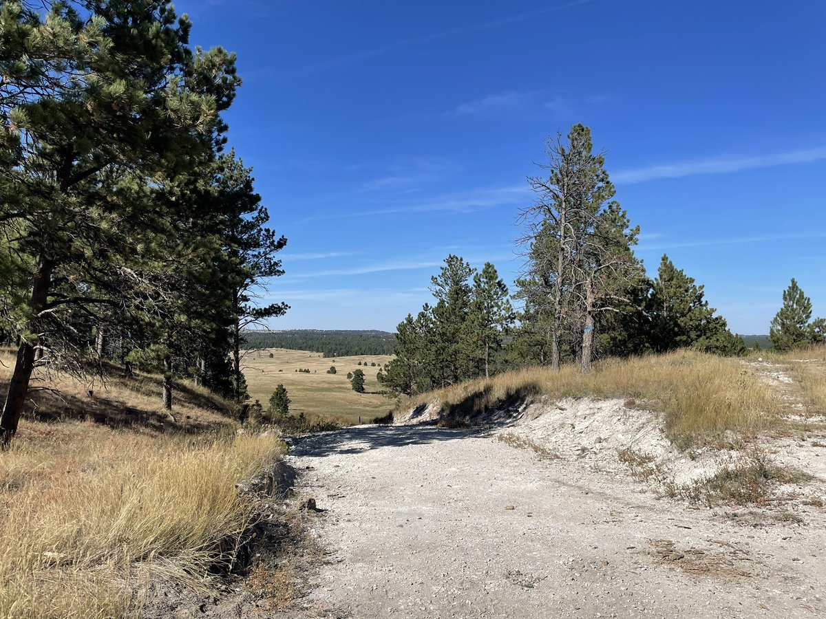OglalaBuff's tweet photo. This is an ancient campsite. Every time I have visited here since 2012 I have seen debitage on the cut road. Pieces of stone tools, bifaces, and bone. Today there was the top skull of a 🦬 . #ancestors #prnf #nativeland https://t.co/Xe027PXtXM
