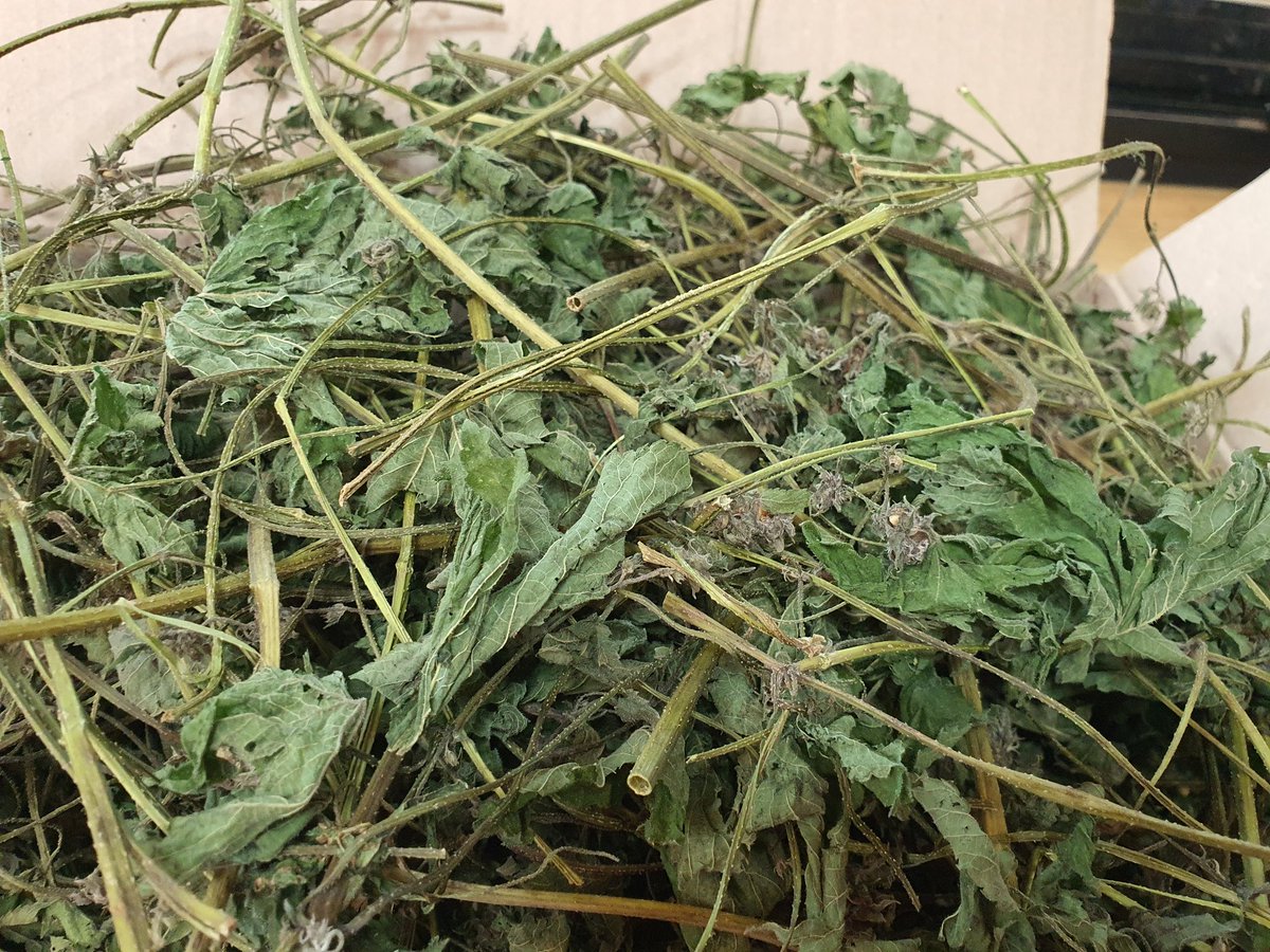 수작업으로 산야초를 포장하려니 시골일 많이 안해본 저로서는 꽤 노동이 되네요.
그래도 저에겐 꿈이 있어요.
연리원 산야초가 건강 뿐 아니라 행복과 가족의 화목과 건강한 사회를 만들어 줄거라고요.
연리원의 에너지를 전합니다.