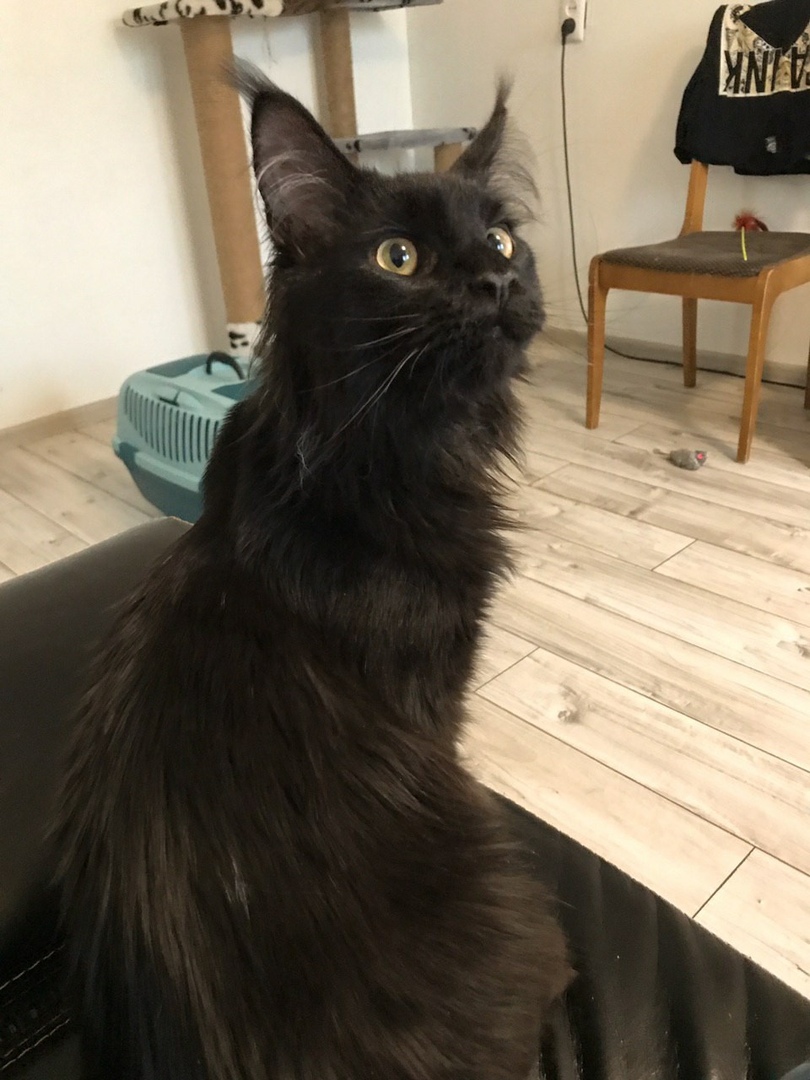 vbkfk's tweet photo. @wmascat https://t.co/uxTKlCaETE