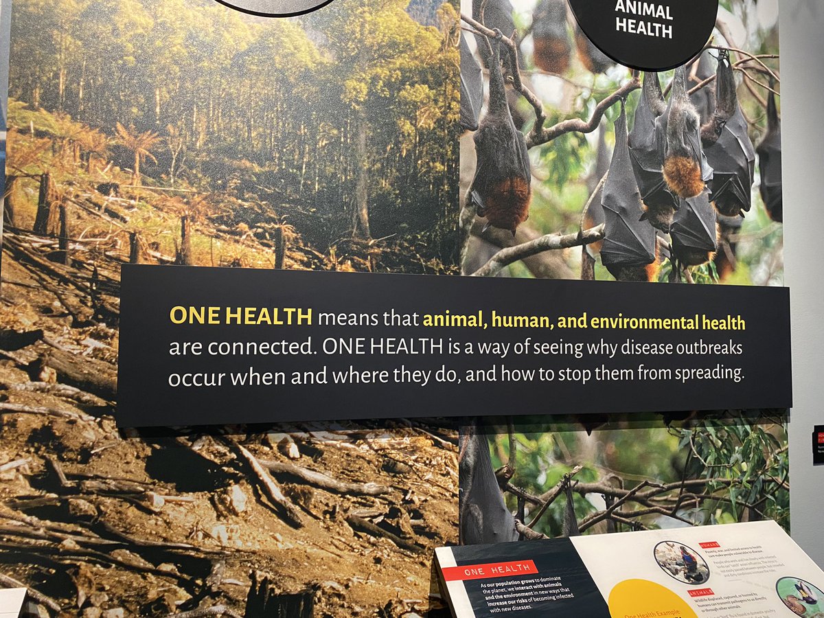 KimTranNL's tweet photo. @AgUSACAN Visited the exhibition on pandemics @NMNH today together w\@EUintheUS. SARS, Zika, Ebola, Hanta, Nipa, COVID-19 are all zoonoses: diseases which jump from animals>humans. In this world of interconnectedness, (new?) zoonoses are still a real threat. Need2raise awareness! https://t.co/E7sqBiWo9x