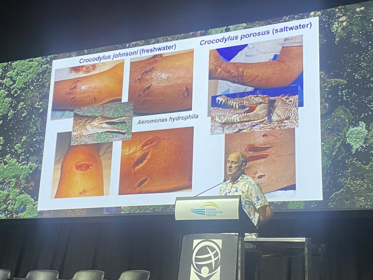 developingem's tweet photo. Currie - "We have just changed our antibiotic regimens for crocodile exposure"

Only in the NT

#DevEM2022 https://t.co/GLRDv5MHRm