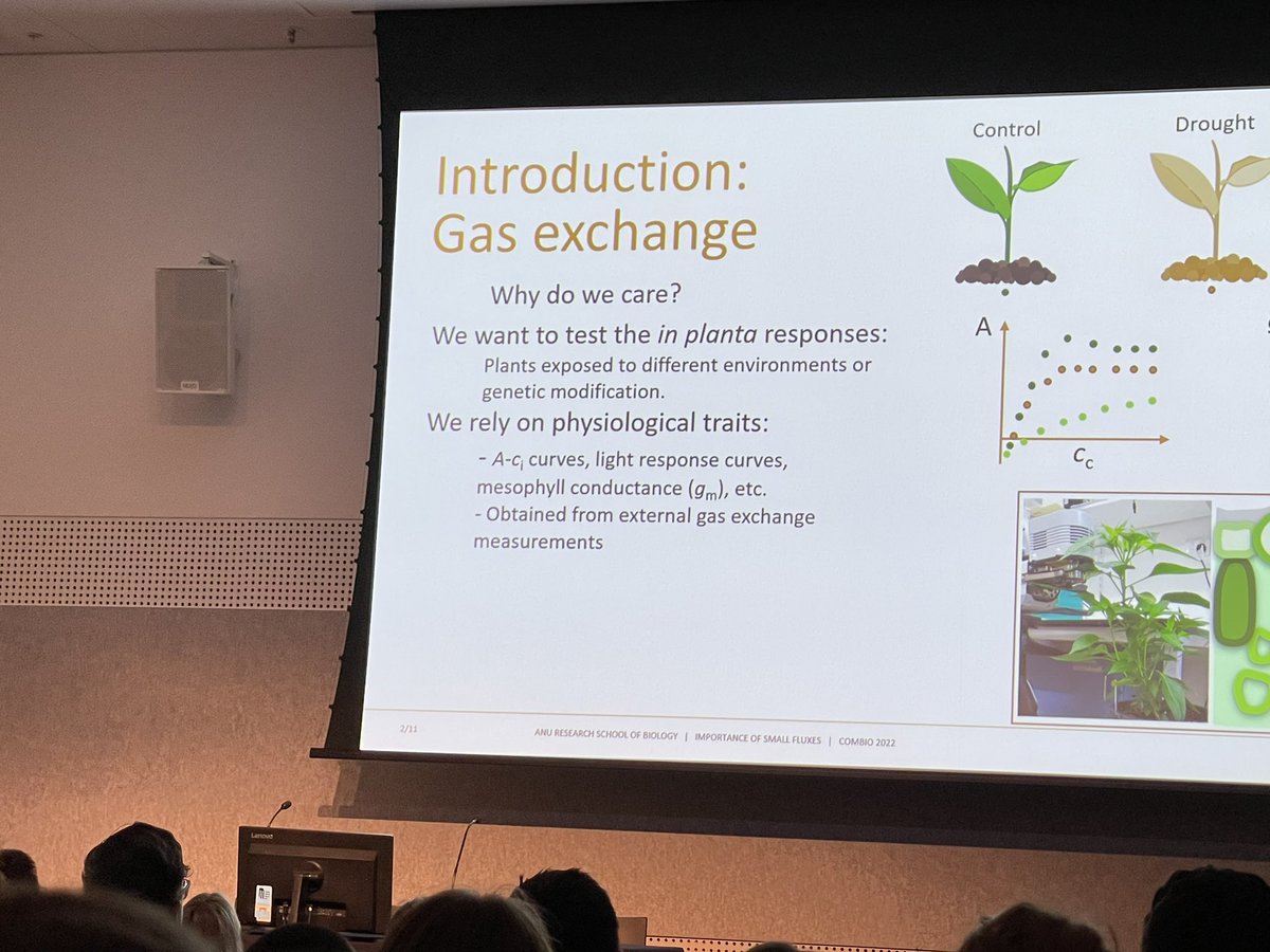 asps_ozplants's tweet photo. 🍃🍃Diego Marquez from ANU talking about carbon dioxide concentrations inside leaves 🍃 🍃 @asps_ozplants @ComBio2022 #combio22 https://t.co/0X20IHTnUg