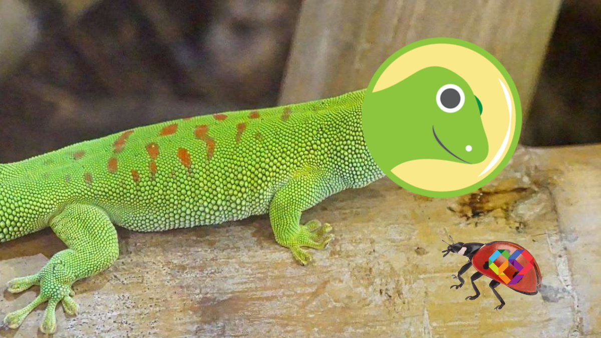 Charity Token ❤ | OFFICIAL |🪙 tweet media