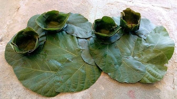 Nss Dp vipra College Bilaspur tweet media