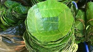 Nss Dp vipra College Bilaspur tweet media