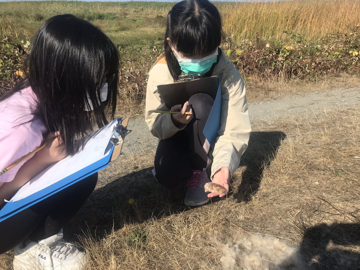 Exploring and learning again in this unceded and traditional land of the Musqueam peoples. Feeling privileged that this estuary is the context in which I get to teach. <a href="/stevescyclones/">Manoah Steves School</a>