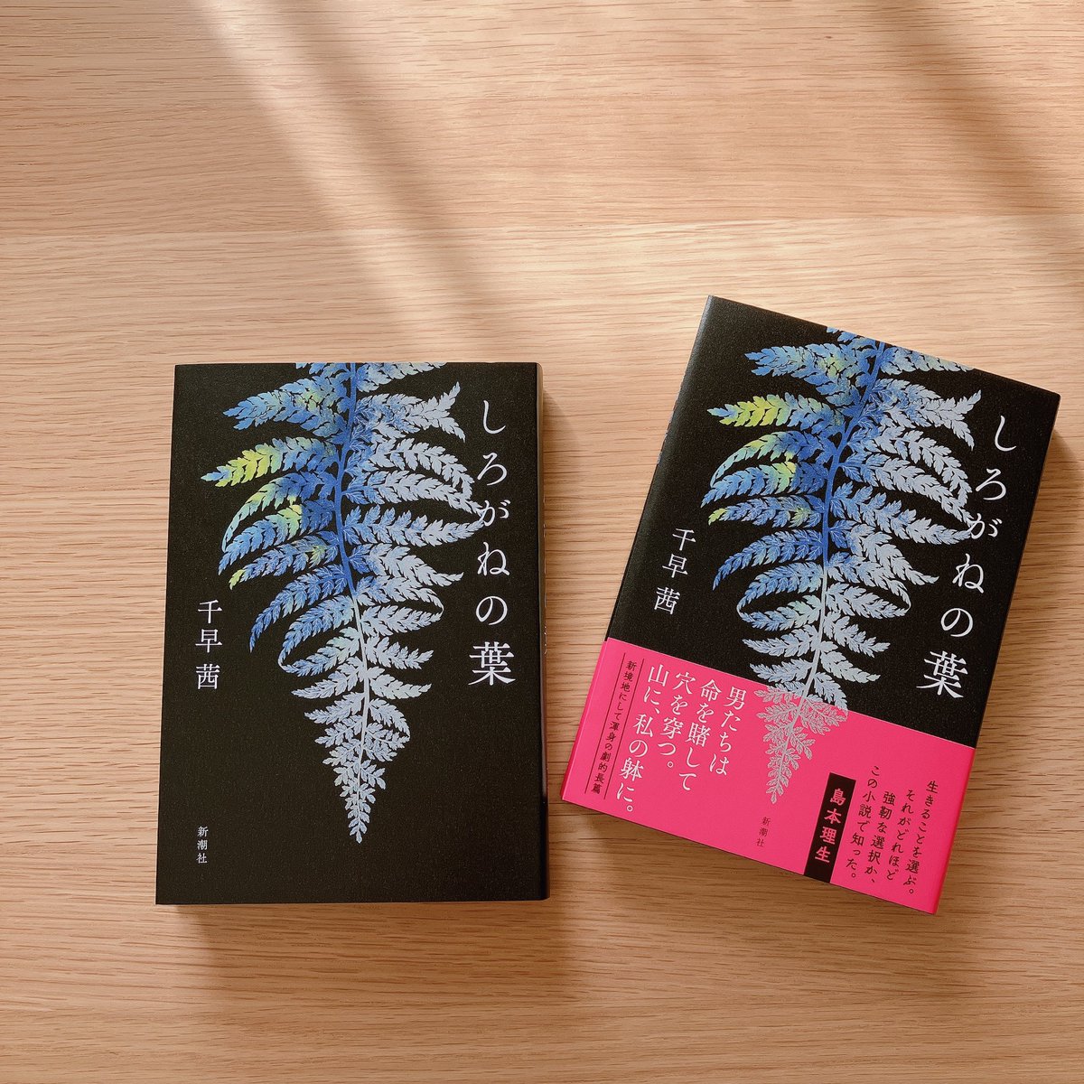 千早茜 tweet media