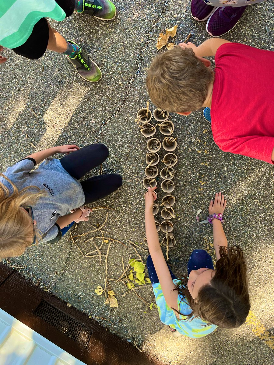 MrsBallinger1's tweet image. We enjoyed the warm fall weather while organizing and counting natural objects. #countingcollections #SkipCounting @SilverSpryycbe
