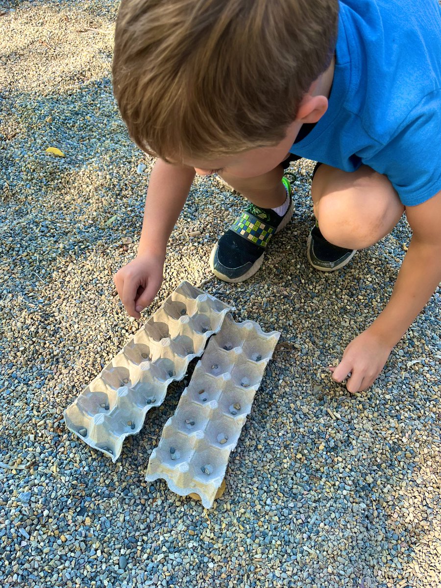MrsBallinger1's tweet image. We enjoyed the warm fall weather while organizing and counting natural objects. #countingcollections #SkipCounting @SilverSpryycbe