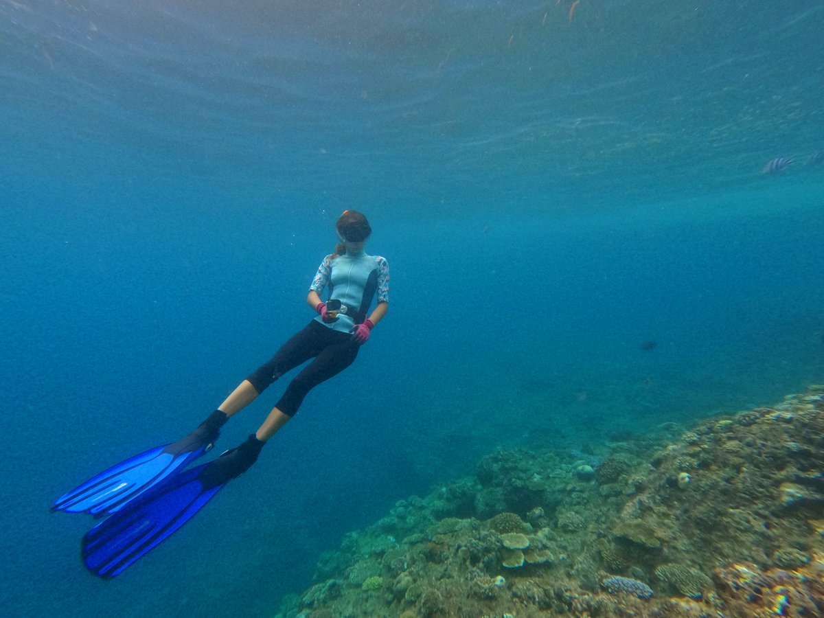 Diving around the amazing Okinawa coast 🐠 #freediving #CoralReefs #marinebiology #japan #okinawa #marinelife #ocean #corals