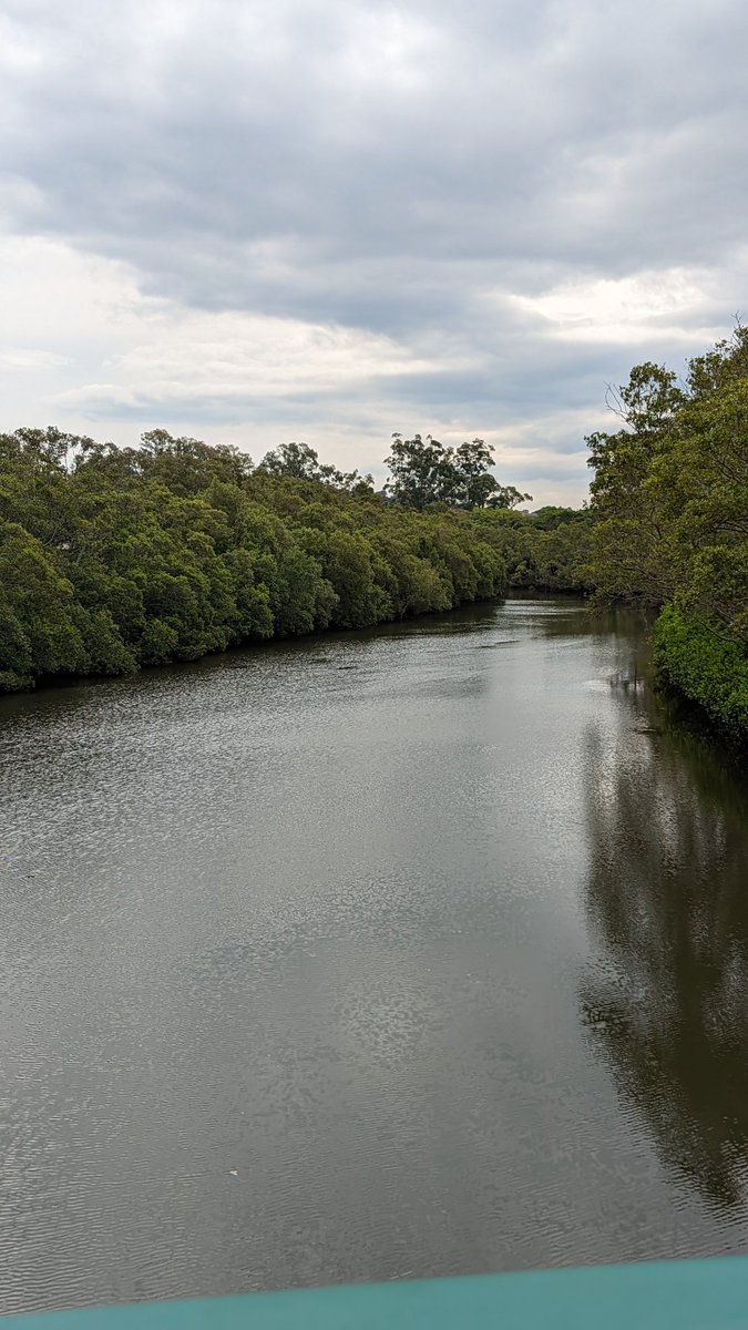 Vaibhavi tweet media