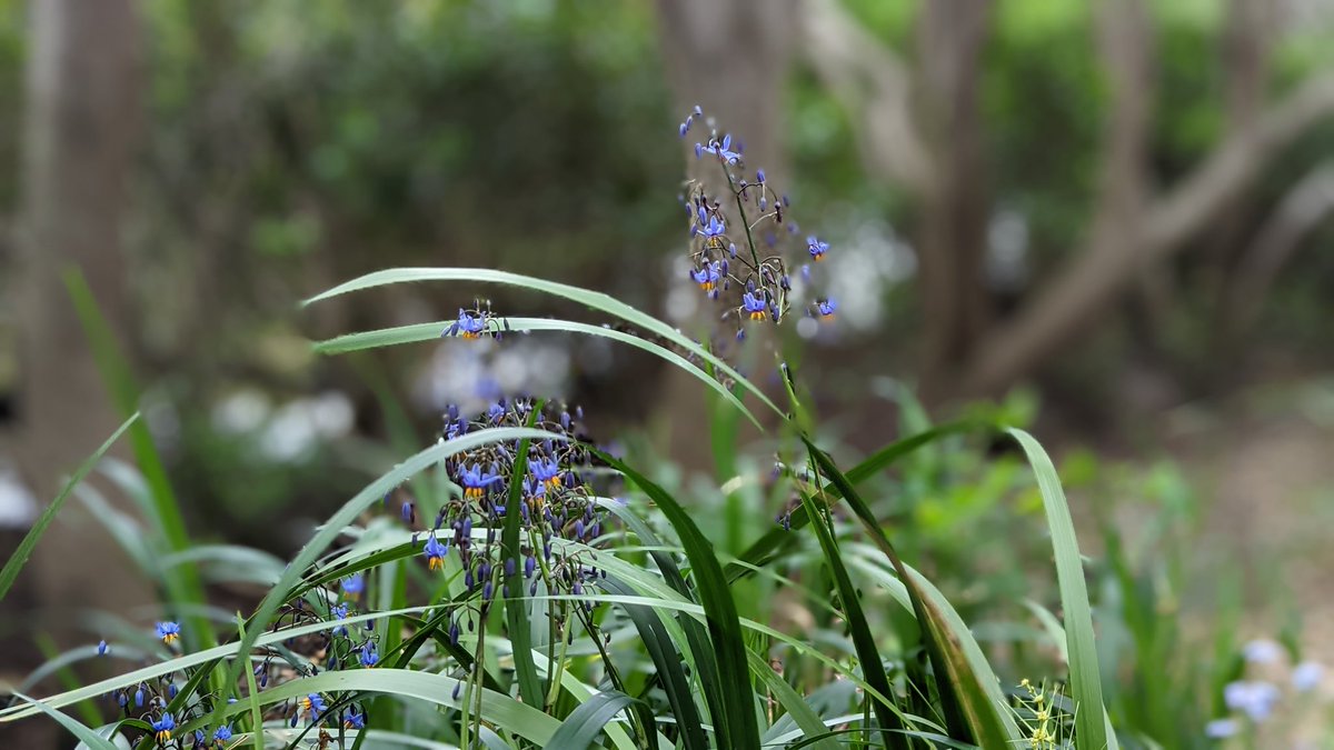 Vaibhavi tweet media